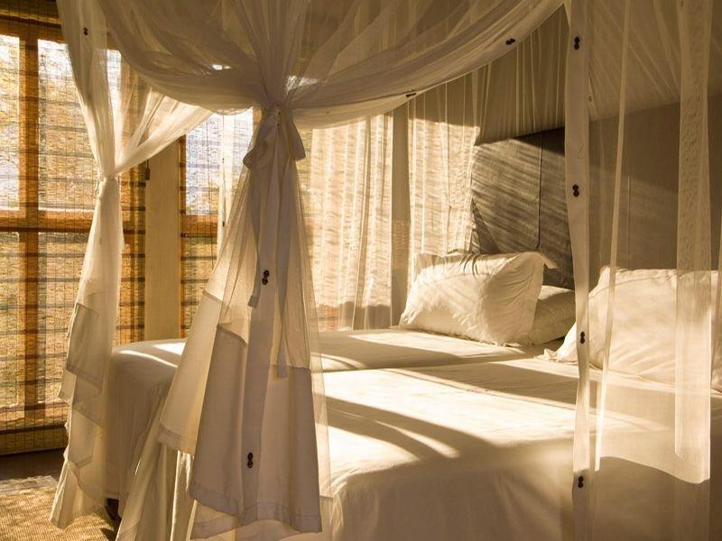 Divava Okavango Resort And Spa Bagani Екстериор снимка